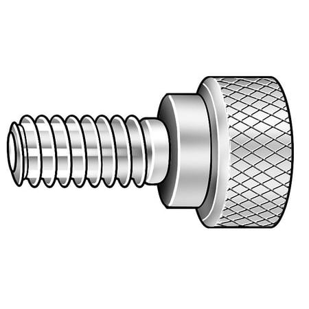 Stainless Steel Wing-Head Thumb Screw 25mm Long M8 x 1.25mm Thread Size